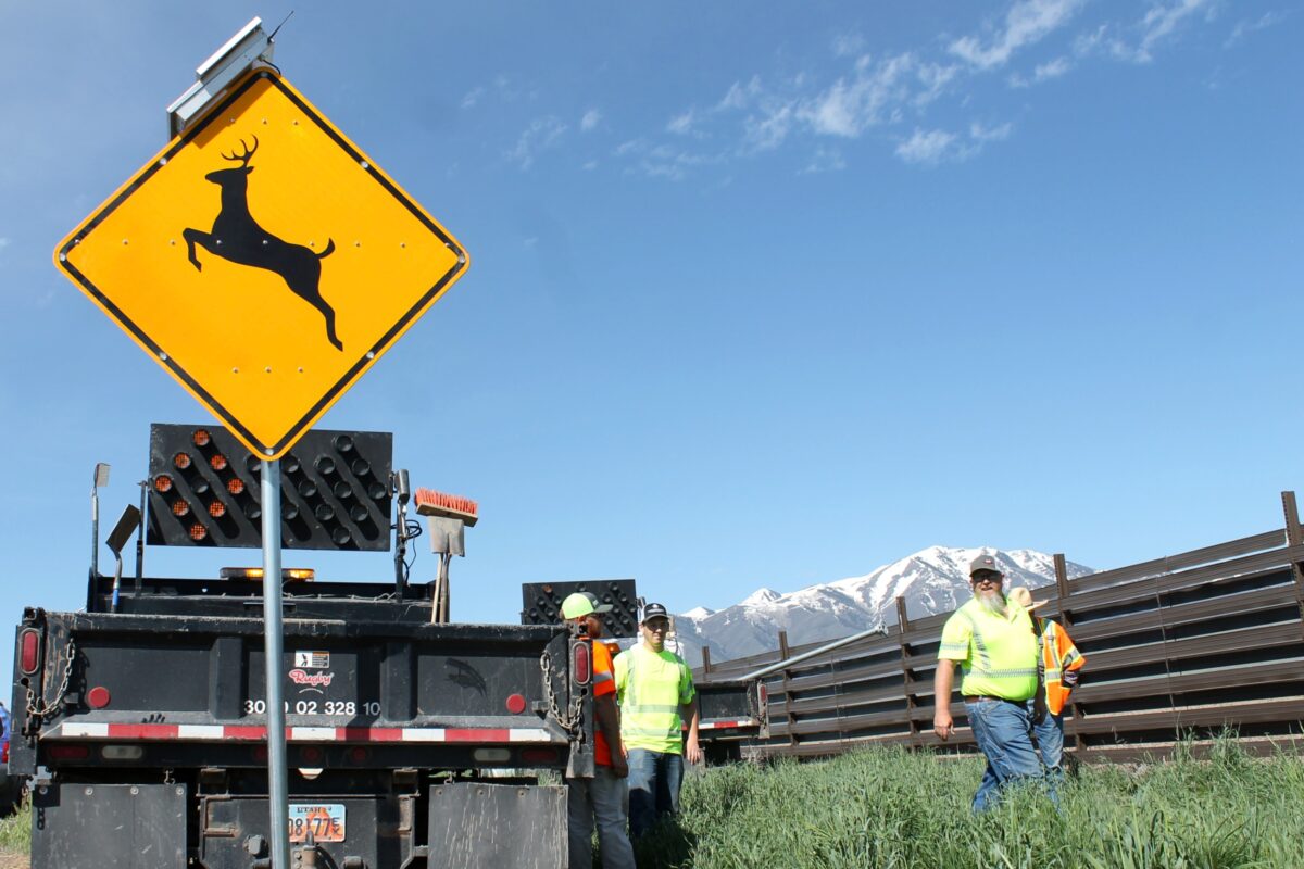 Flashing signs and radar will hopefully reduce deer collisions in Eagle
